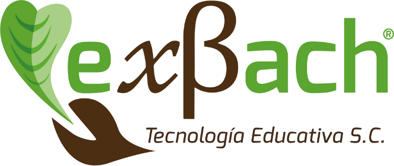 ExBach