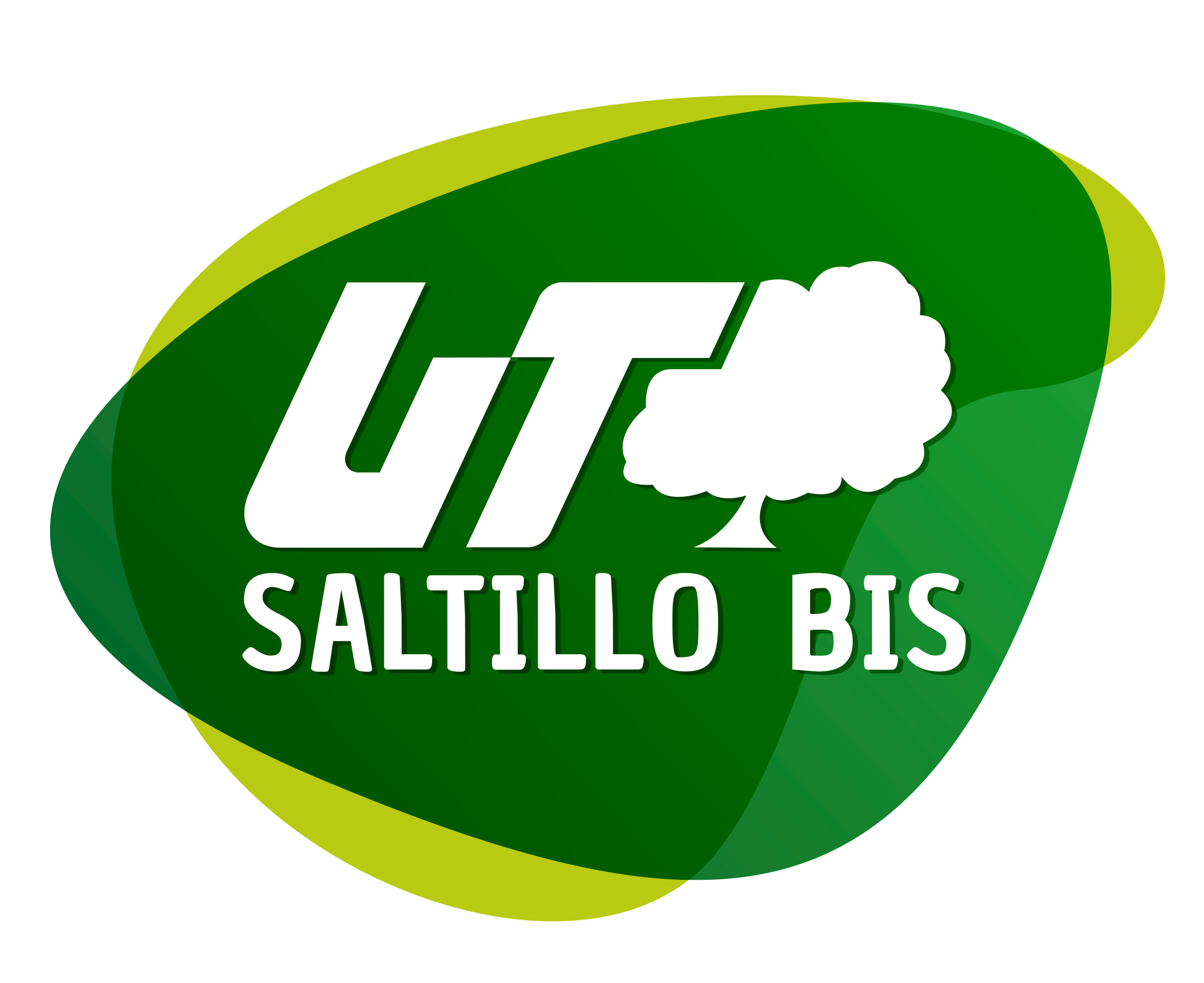 UTSaltillo